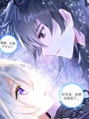 雏鸟app网页版